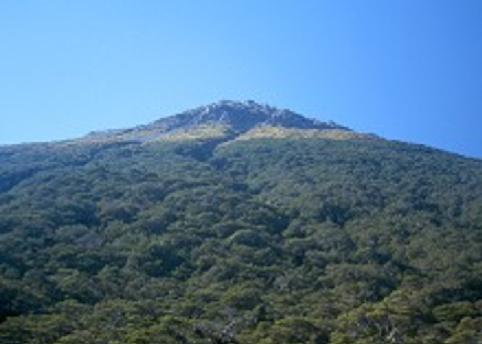 The slopes of Mount Cassidy from the Bridal Veil Track.