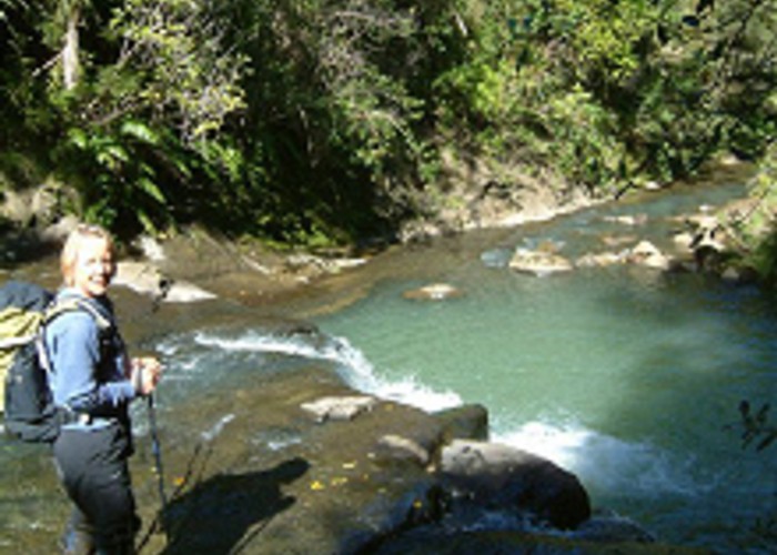 A pool in the Mokoroa stream, downstream from the falls