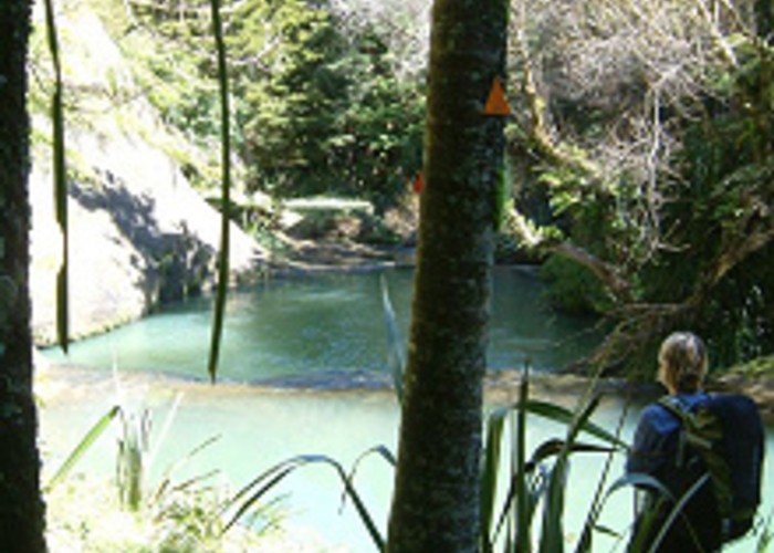 A pool in the Mokoroa stream, downstream from the falls