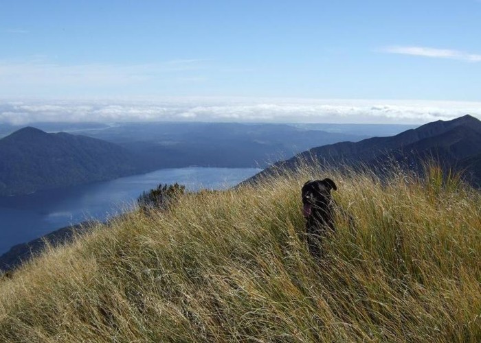 Lake Kaniere etc from top of Mt Brown  April 2011