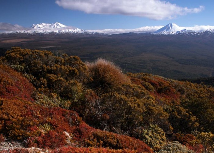 view on Mt. Ruapehu