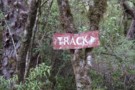 Another old track sign July 2012