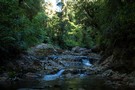 Waiomu Creek