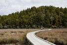 Ōkārito Wetland Walk