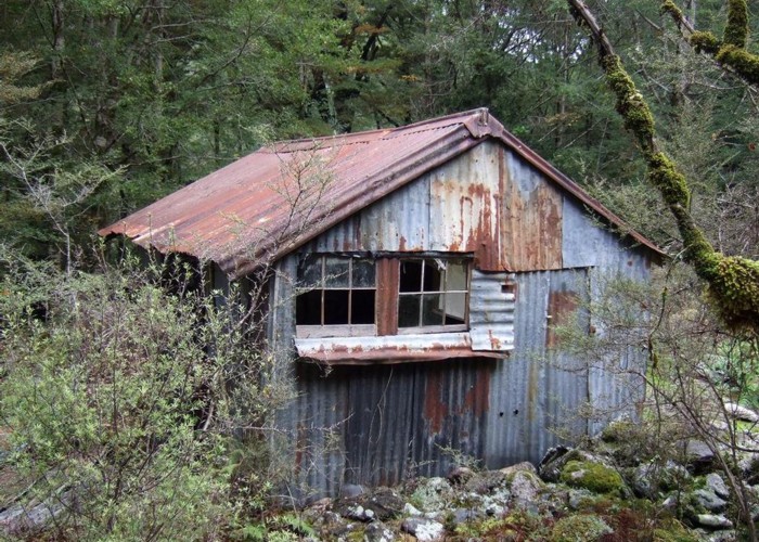 Derelict miners hut Lyell Creek  May 2014
