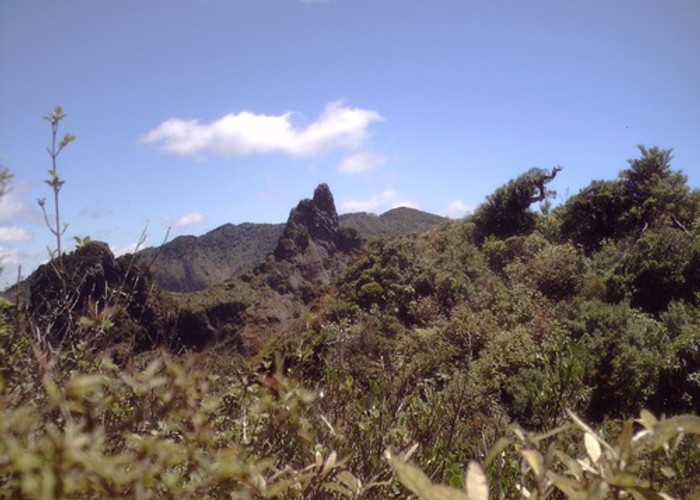 Ridge to Wahine in the Kaimais