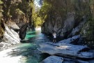 One of the gorges,the friendliest,in the Toaroha
