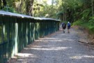 The Pest Proof fence around Maungatautari