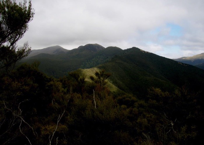 Waianakarua Scenic Reserve and Mt Fortune