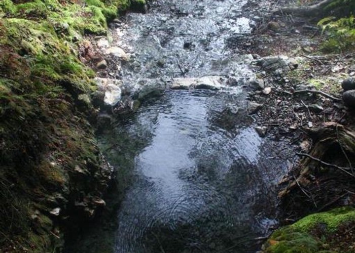 Source of the springs