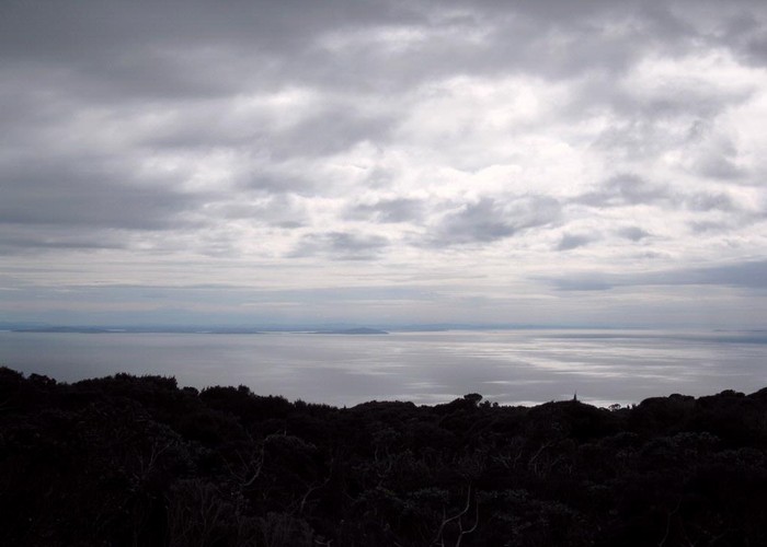 Foveaux Strait from Mt Anglem