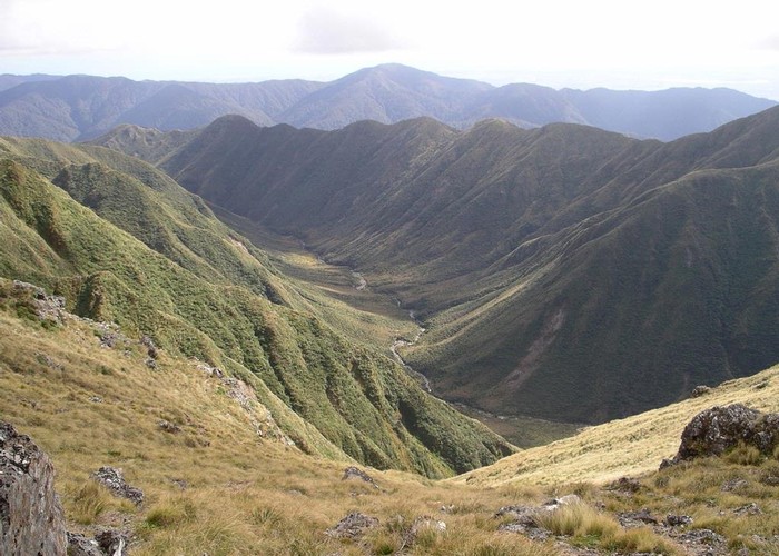 Park Valley - the Tararuas only glaciated valley