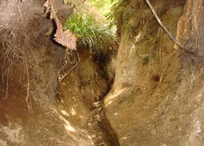Mount Tauhara, Taupo - Deeply eroded track