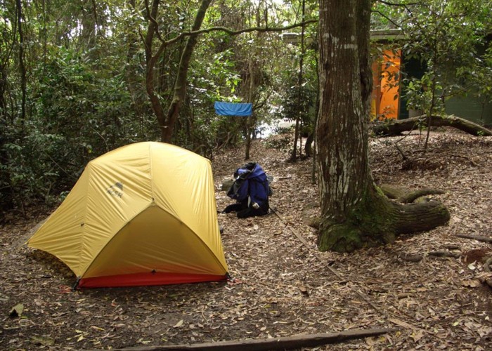 Camp Site at Binna Burra, Lamington National Park