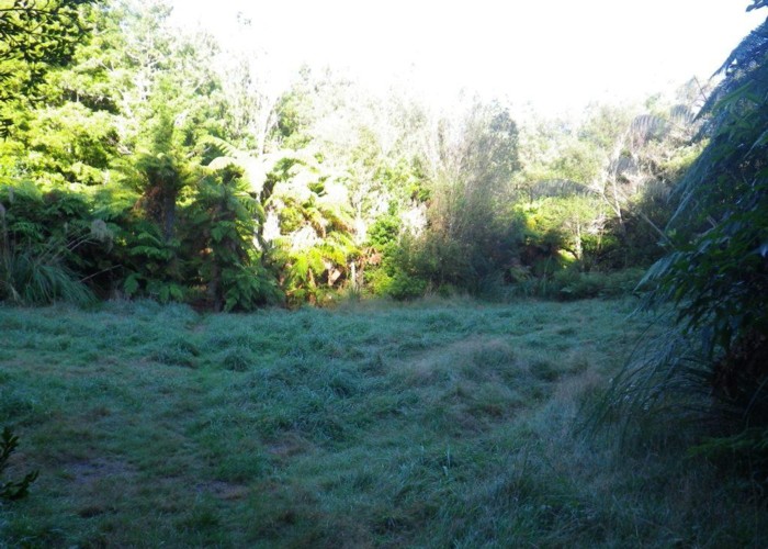 Waitengaue Hut site