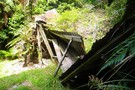 Hardy's Hut, Te Aroha