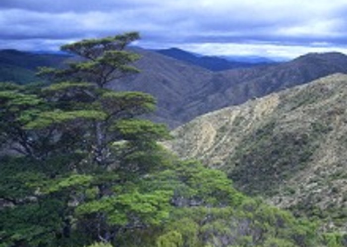 Barren, serpentine hills of the Mineral Belt