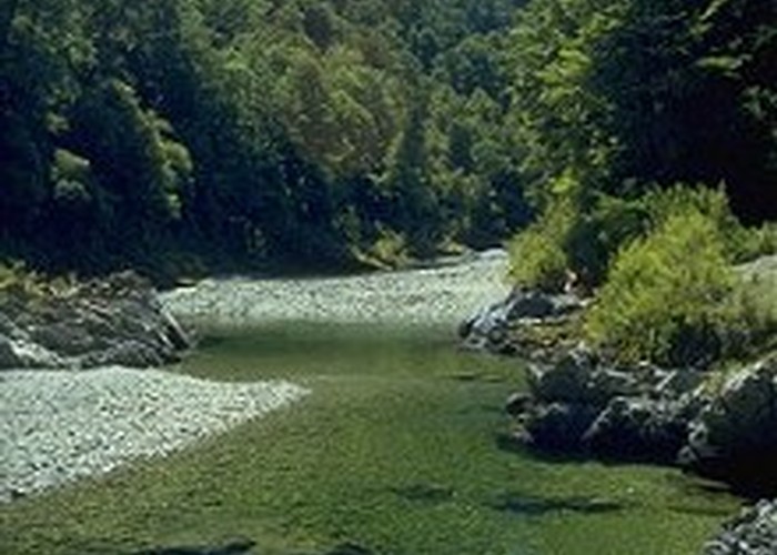 Emerald Pools, Pelorus River.