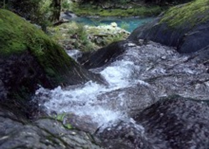 A mossy side stream becomes a waterfall as it drops into the Toaroha River.