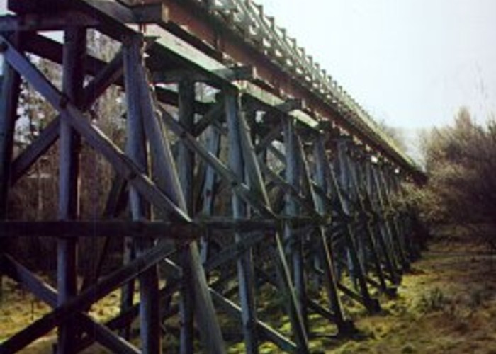 Muttontown Viaduct, between Clyde and Alexandra.