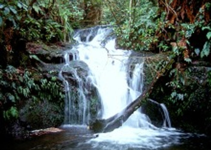 Hinewai Falls, Hinewai Reserve.
