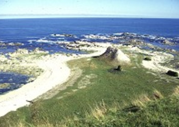 Limestone coastline, Kaikoura Peninsula