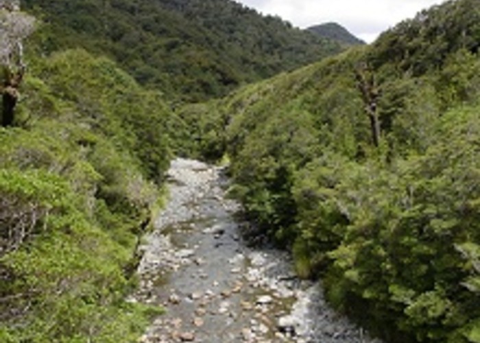 Mangahao River,Tararua Forest Park