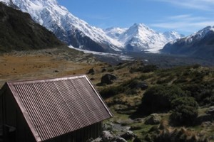 Ball Shelter Hut