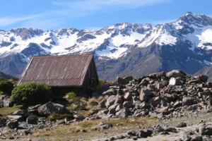 Ball Shelter Hut