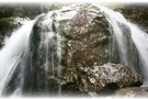 Sharplin Falls
