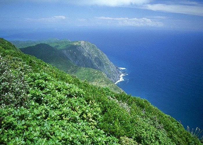 Kapiti Island