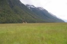 Heading north from Te Anau to Milford Sound