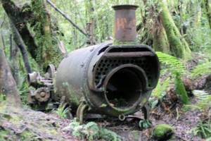 On the Waitewaewae track