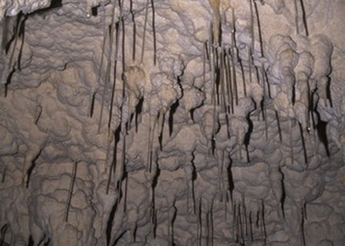 Soda straws, Fox River Cave