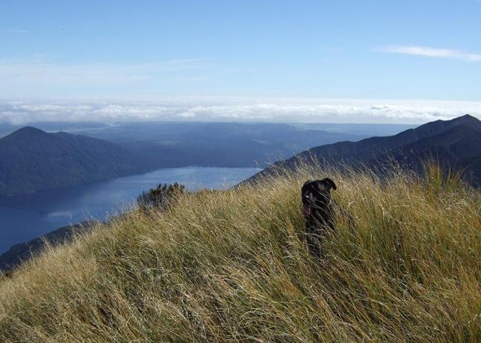 Lake Kaniere etc fro top of Mt Brown  April 2011