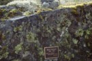 Max Smart memorial plaque, Matakitaki valley