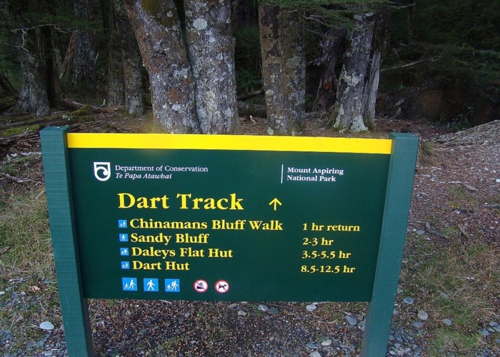 Rees dart track