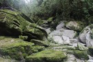 Cave Creek / Kotihotiho Track