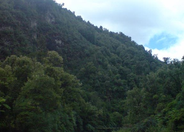 View from Koranga Forks Hut