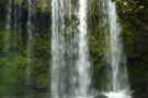 McKenzie Falls, Rotorua