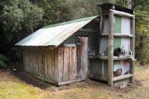 Adams Flat Hut