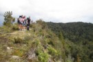 High point on the Wairoa Track