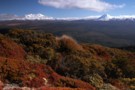 view on Mt. Ruapehu
