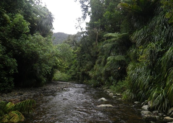 Waiorongomai River below hut