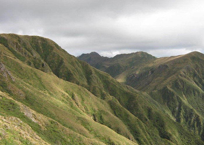 Saddle between East Peak and West Peak Northern Tararua