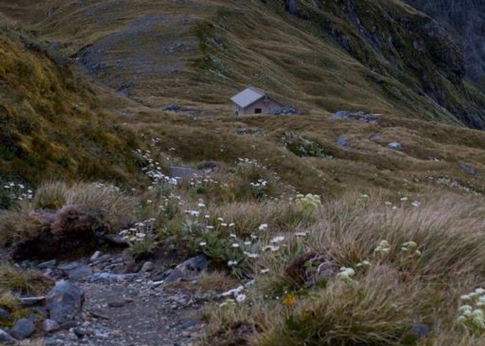 Track down to MacKinnon Pass Shelter
