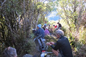 taupo tramping club