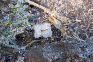 ice on summit of pukeatua