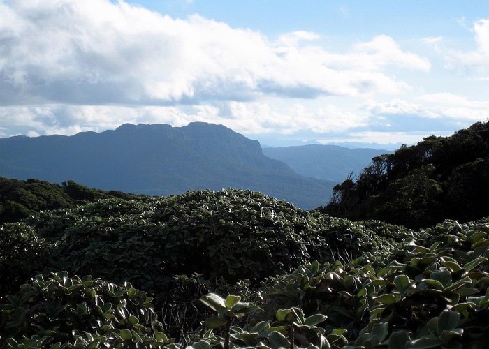 View SE from Te Rangaakapua