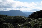 View SE from Te Rangaakapua